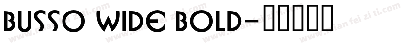 Busso Wide Bold字体转换